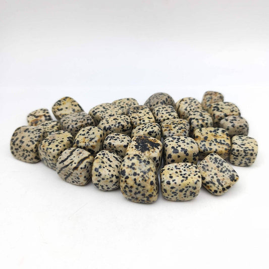 Tumbled Stones - Dalmatian Jasper