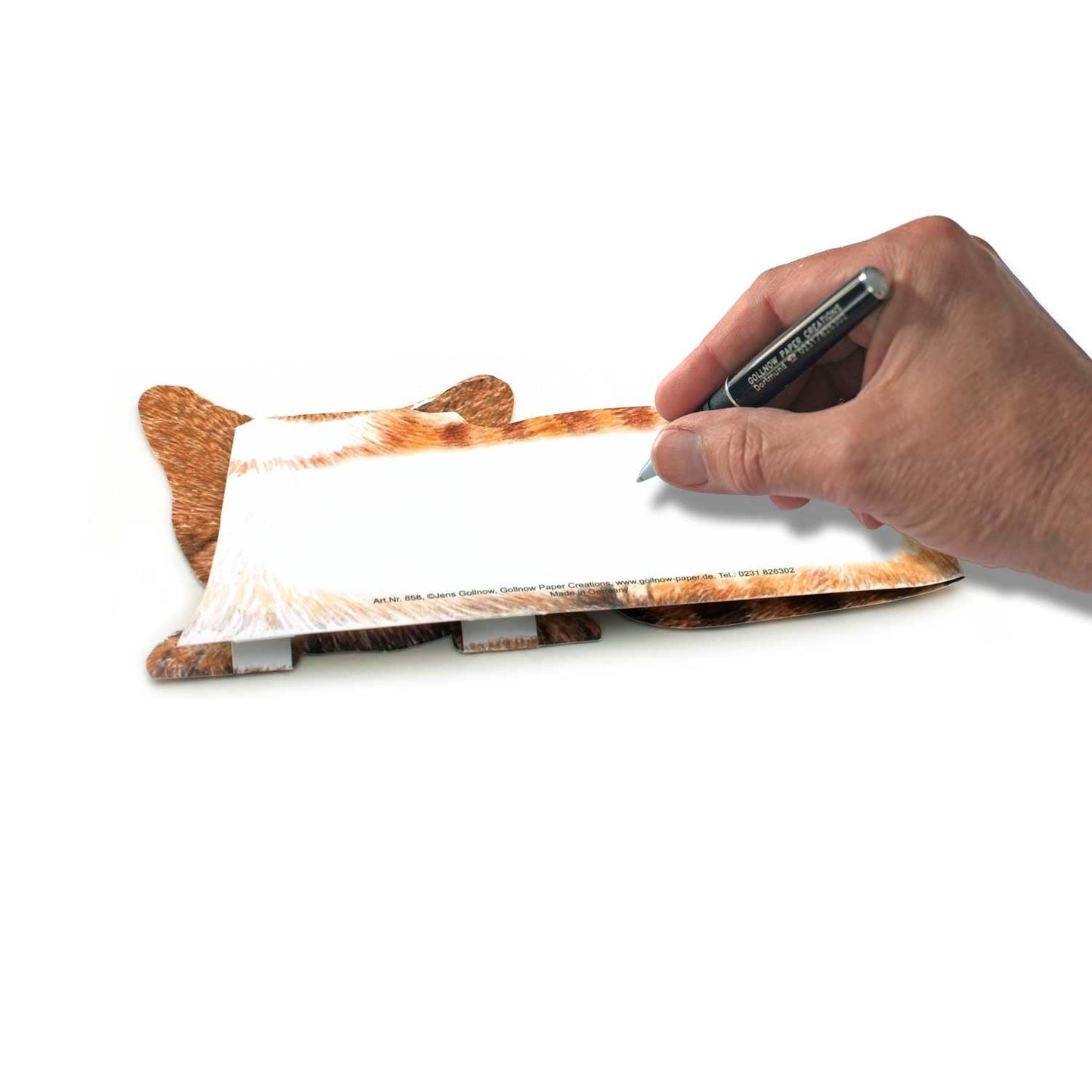 3D animal card little cat