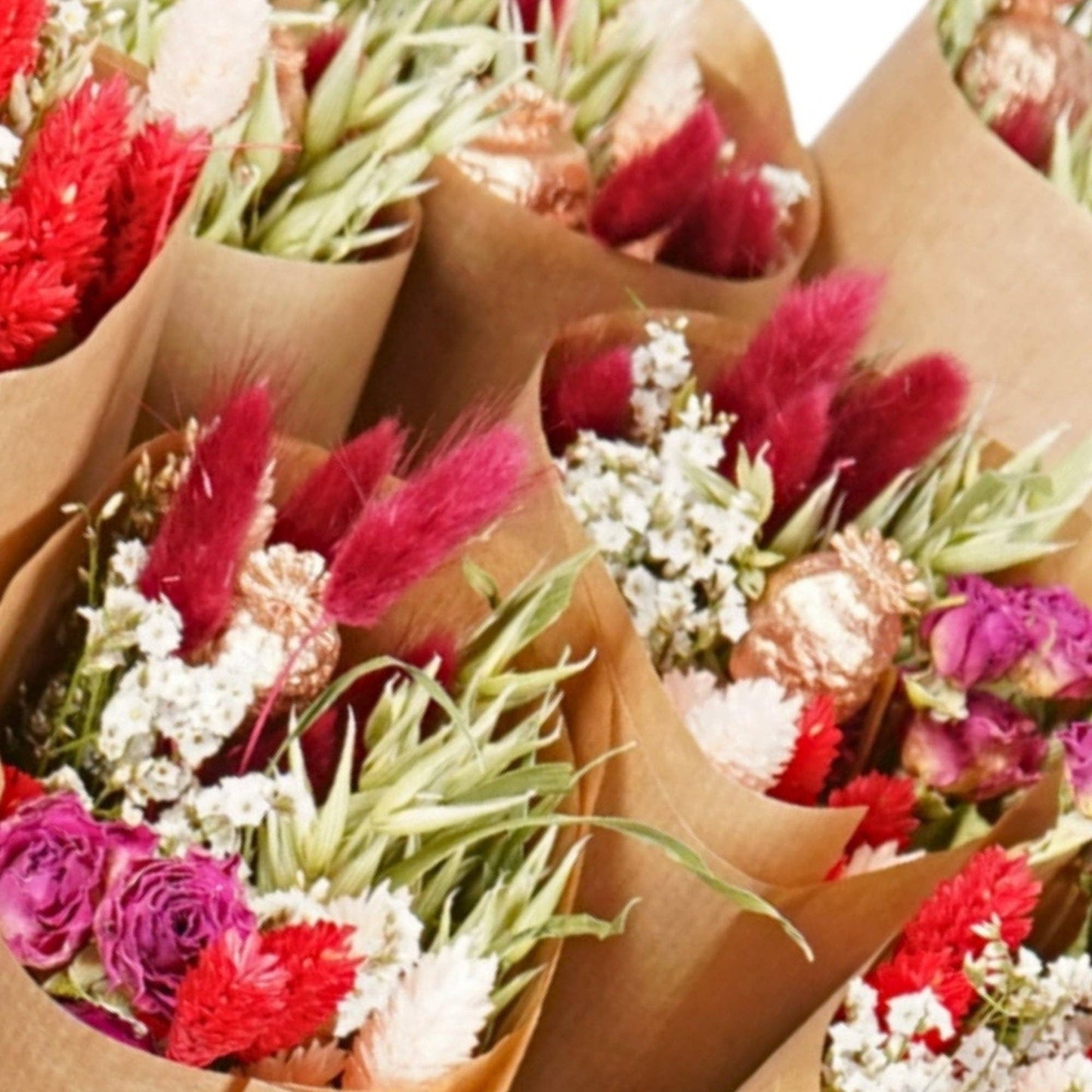 Dried Flowers - Market more - Red Allure