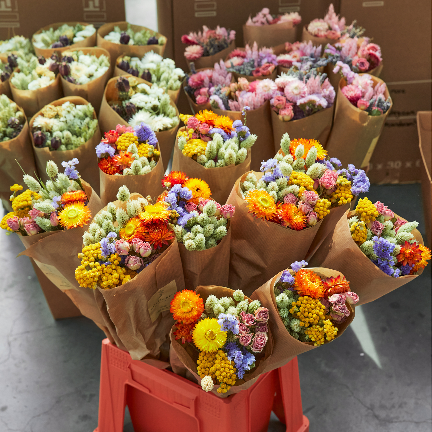 Dried Flowers - Market More - Multi
