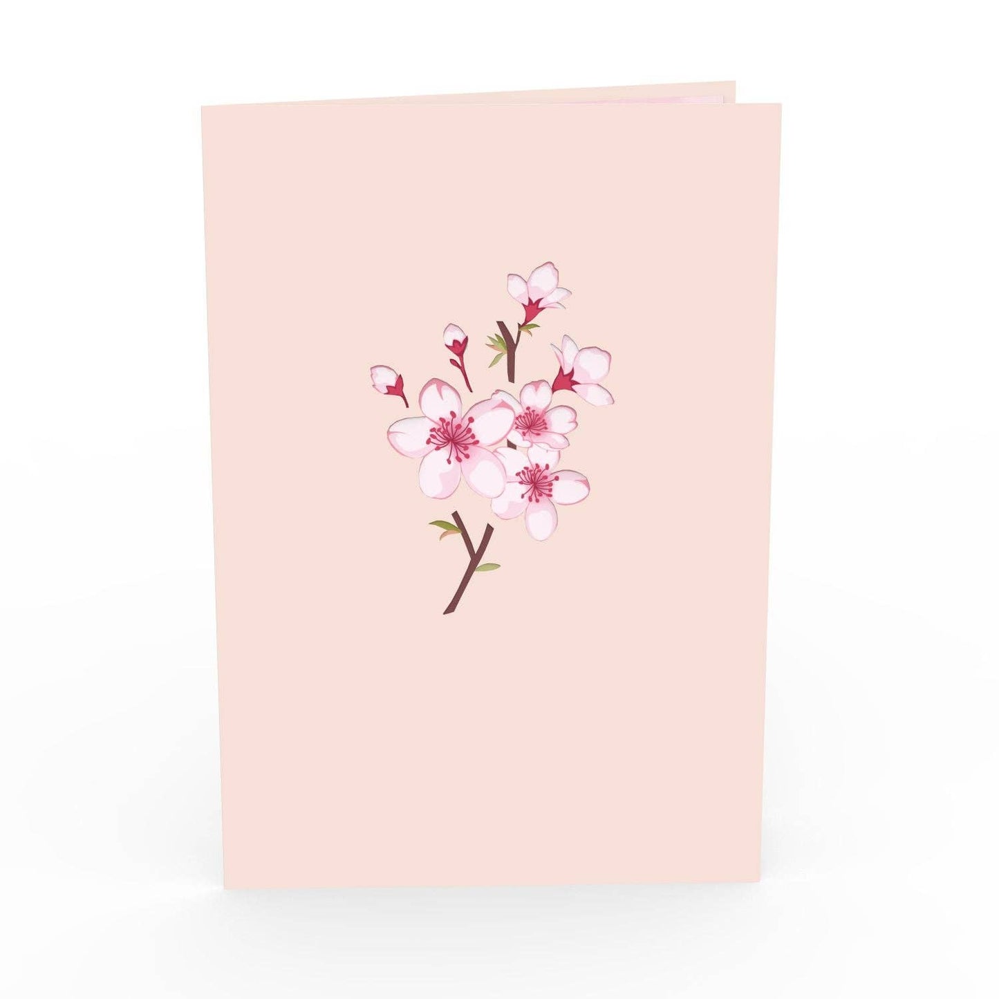 Cherry blossom pop-up card