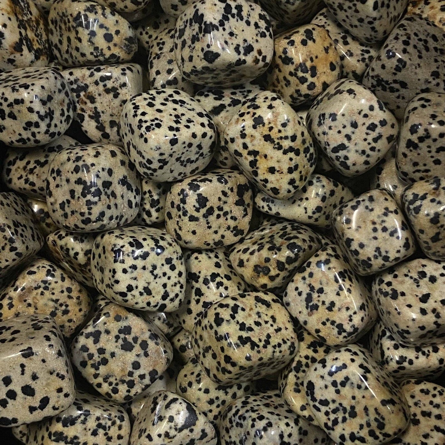 Tumbled Stones - Dalmatian Jasper (200 g)