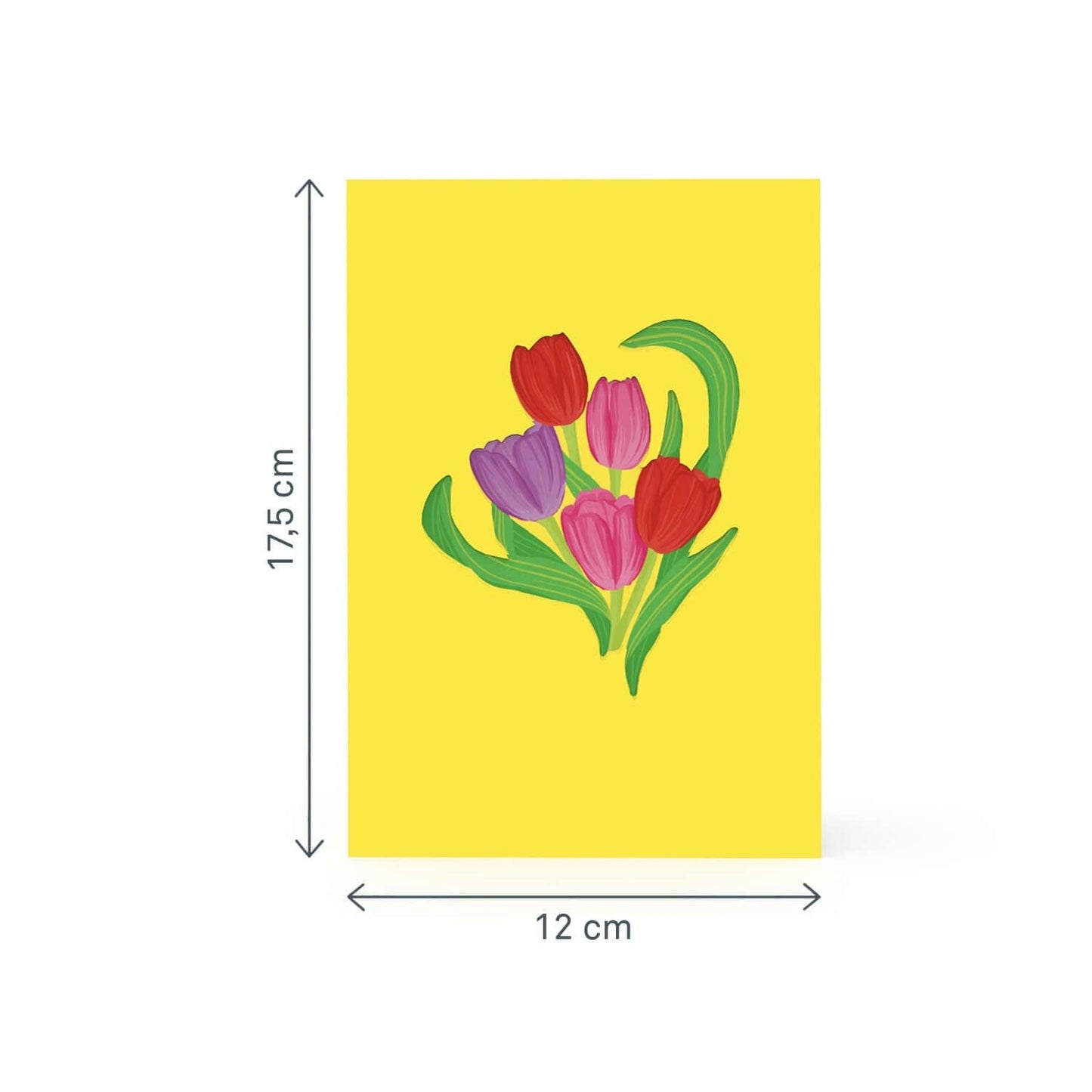 Colourful Tulip Meadow Pop-Up Card