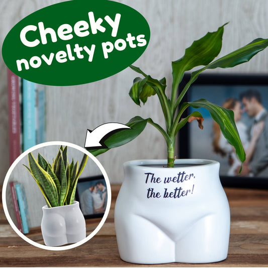 Put Some Plants on - the Wetter, the Better