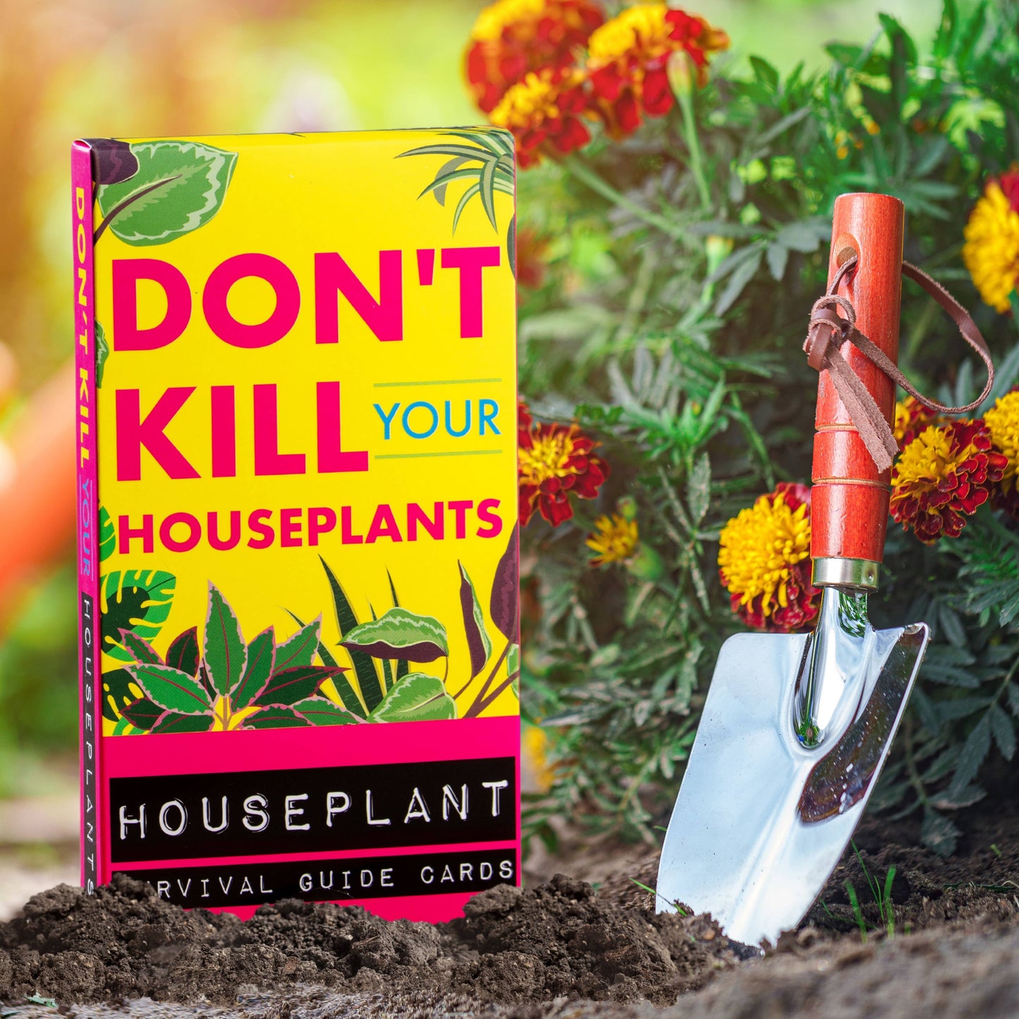 Don't Kill Your Houseplants