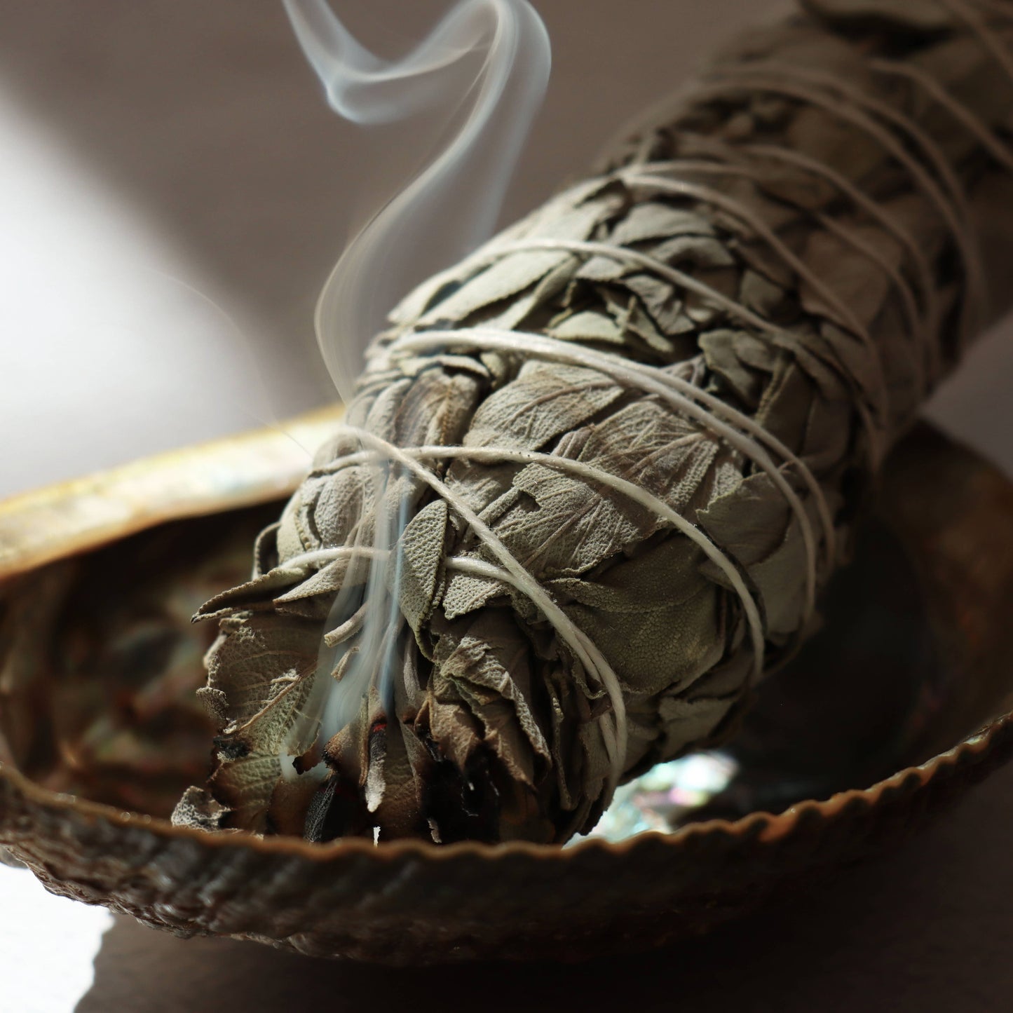 California white sage torch (Salvia Apiana)