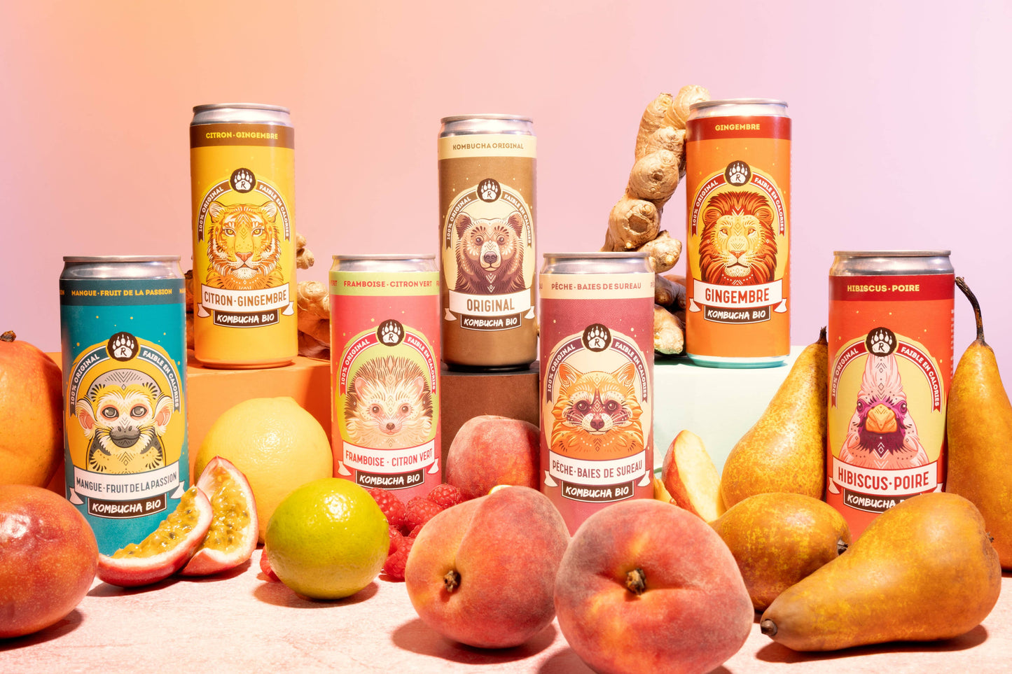 R-KOMBUCHA - Mango Passion - 33cl Can