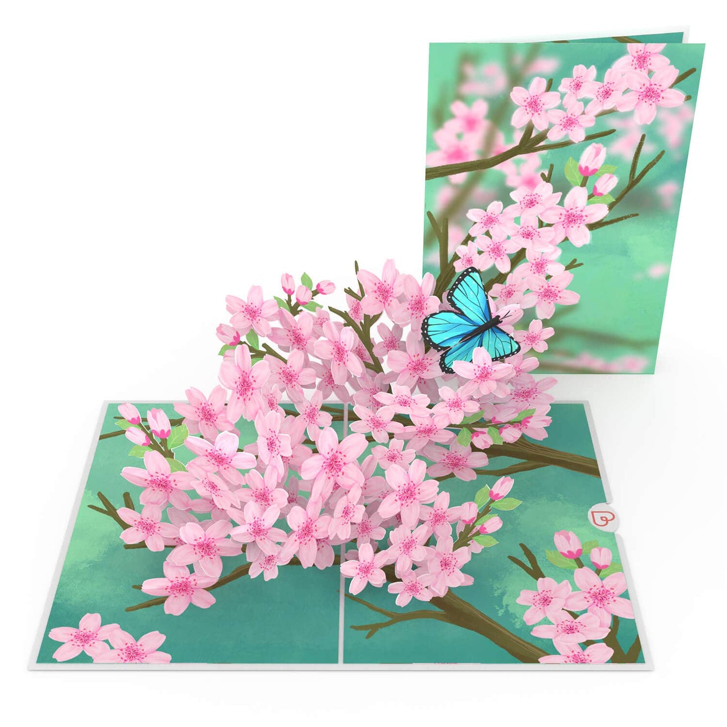 Cherry Blossom Branch Pop-Up Card