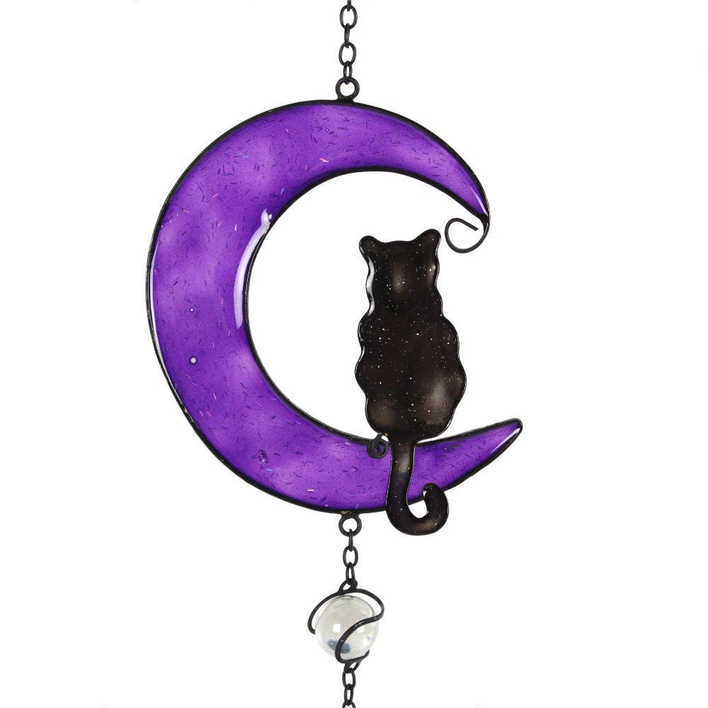 Schwarze Katze Windspiel