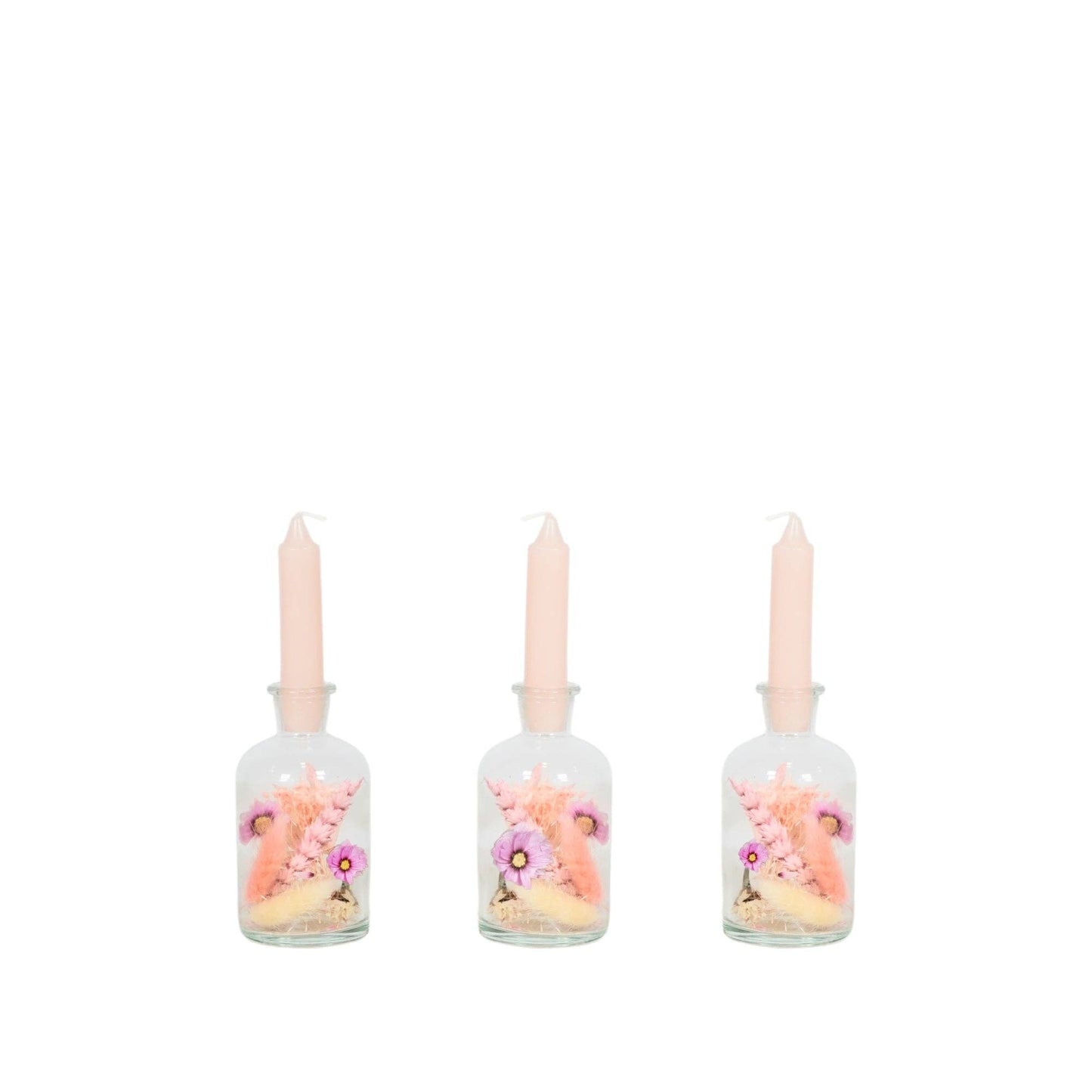 Dried Flowers - Brightness Vase - Blush