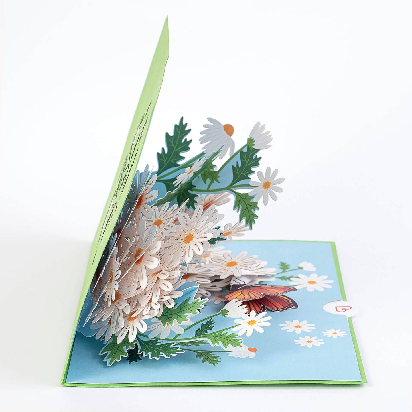Gänseblümchen-Pop-up-Karte mit Schmetterling