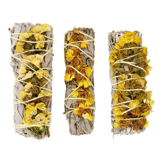 Weißer Salbei mit gelber Sinuata