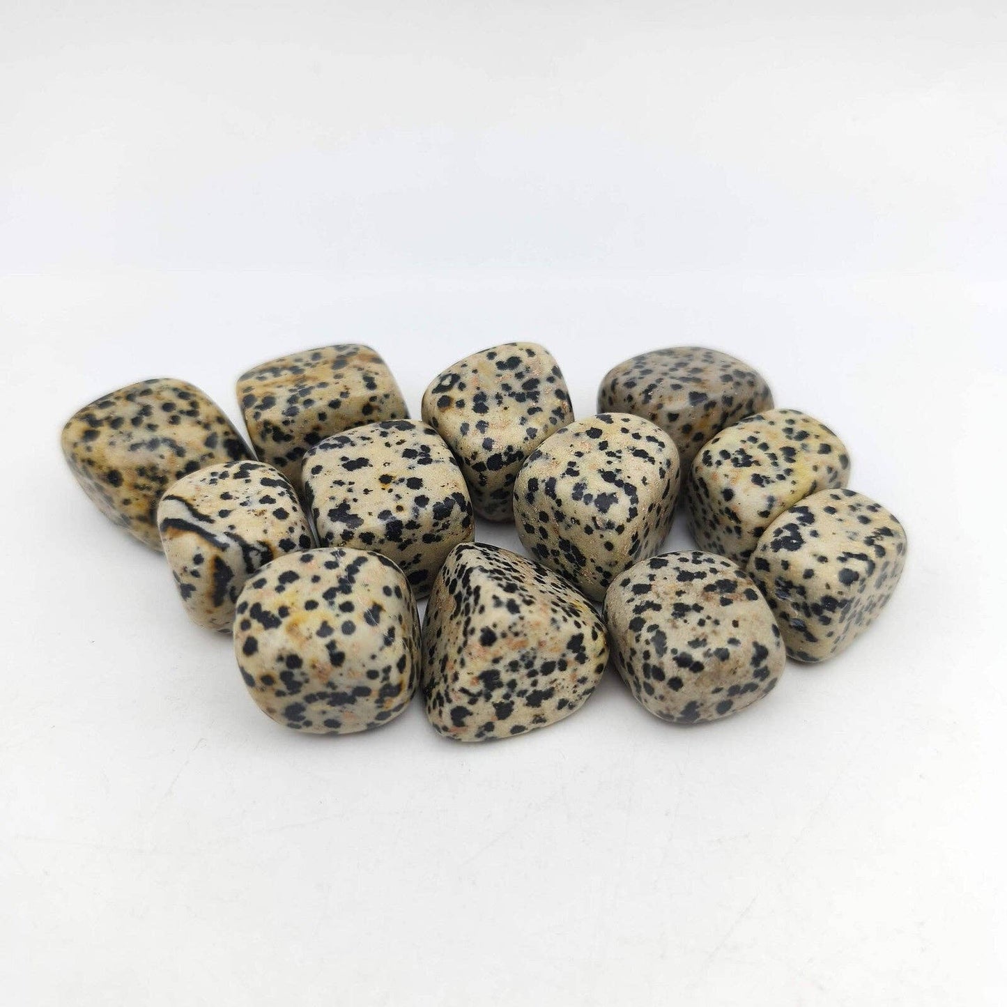 Tumbled Stones - Dalmatian Jasper (200 g)