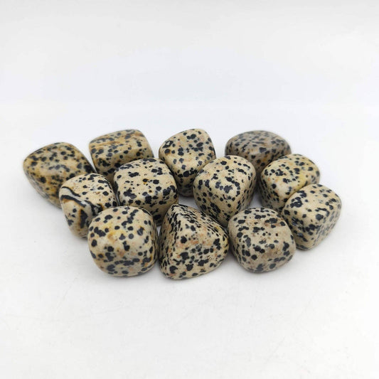 Tumbled Stones - Dalmatian Jasper