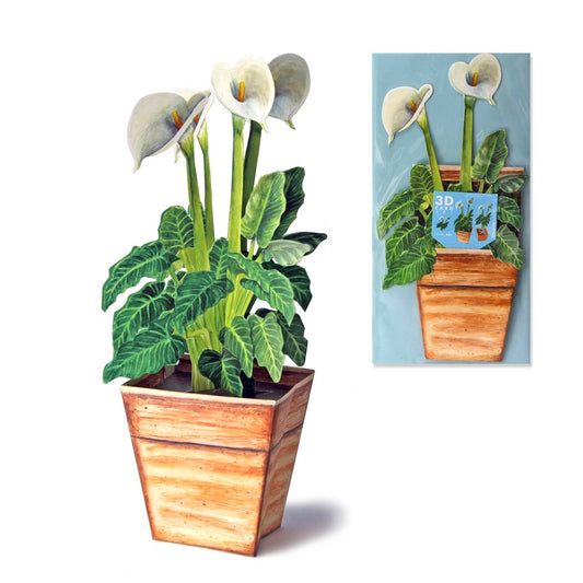 3D greeting card Kalla