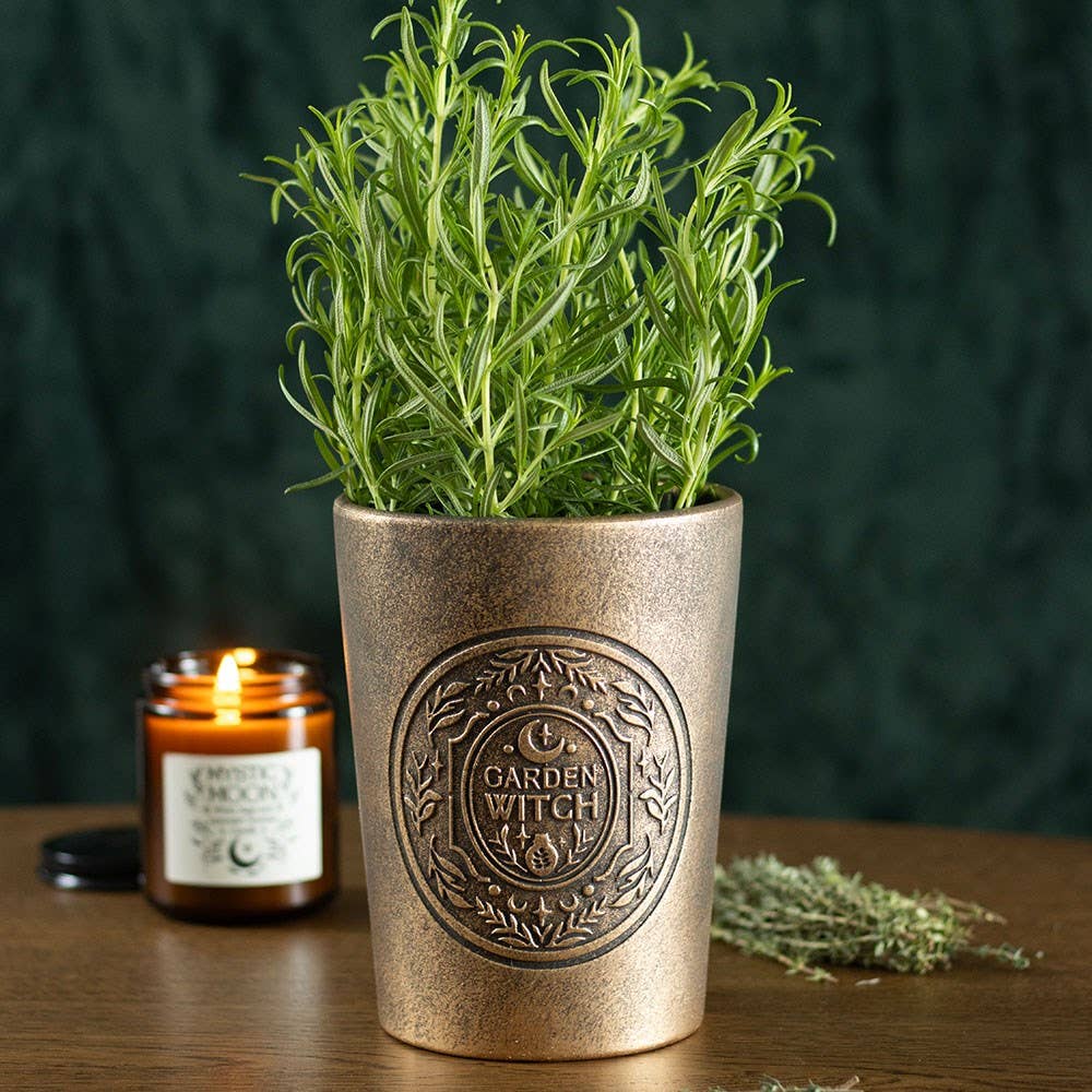 Garden Witch Bronze Effect Terracotta Plant Pot