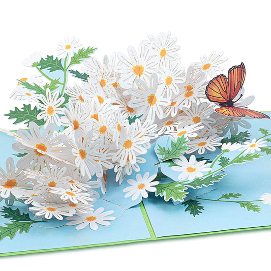Gänseblümchen-Pop-up-Karte mit Schmetterling