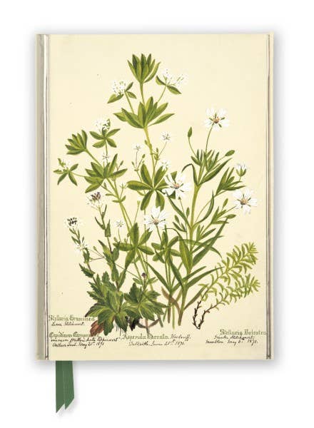 Charlotte Cowan Pearson: Stitchworts, Woodruff Journal