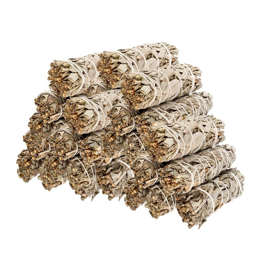 California White Sage (Salvia Apiana)