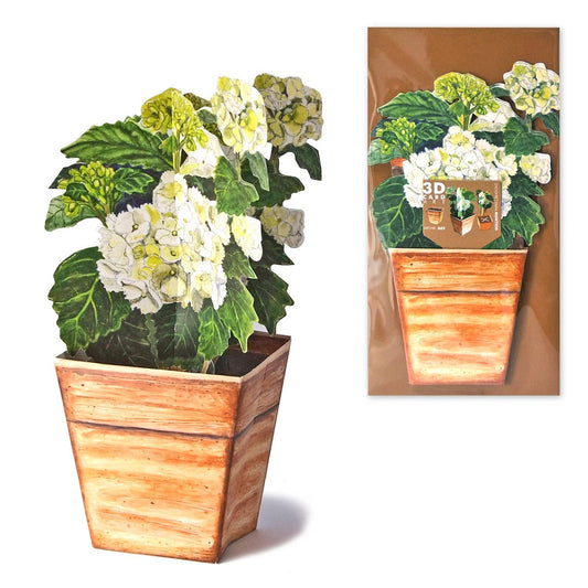 3D greeting card hydrangea