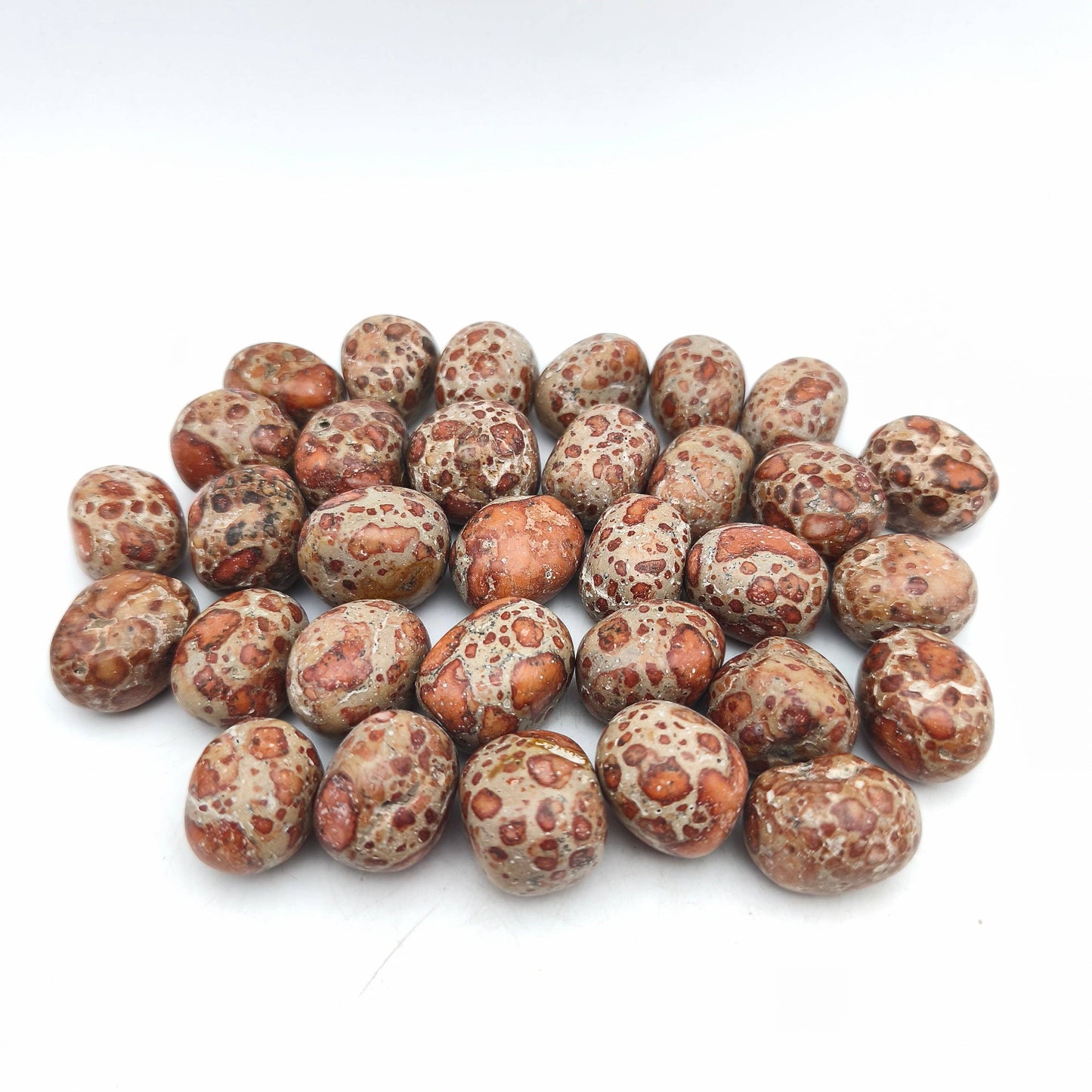 Tumbled Stones - Leopard Jasper (200 g)