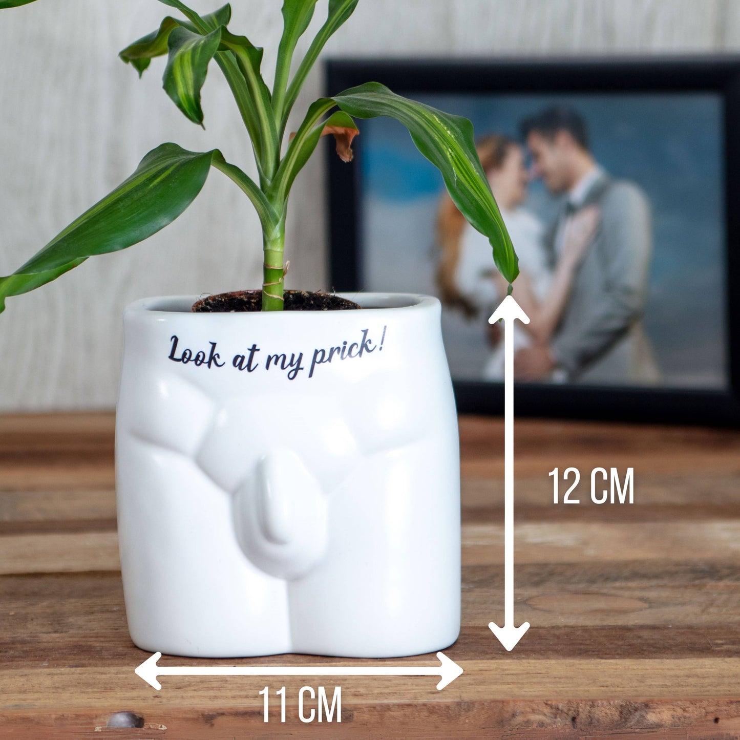 Put Some Plants on - Look at My Prick