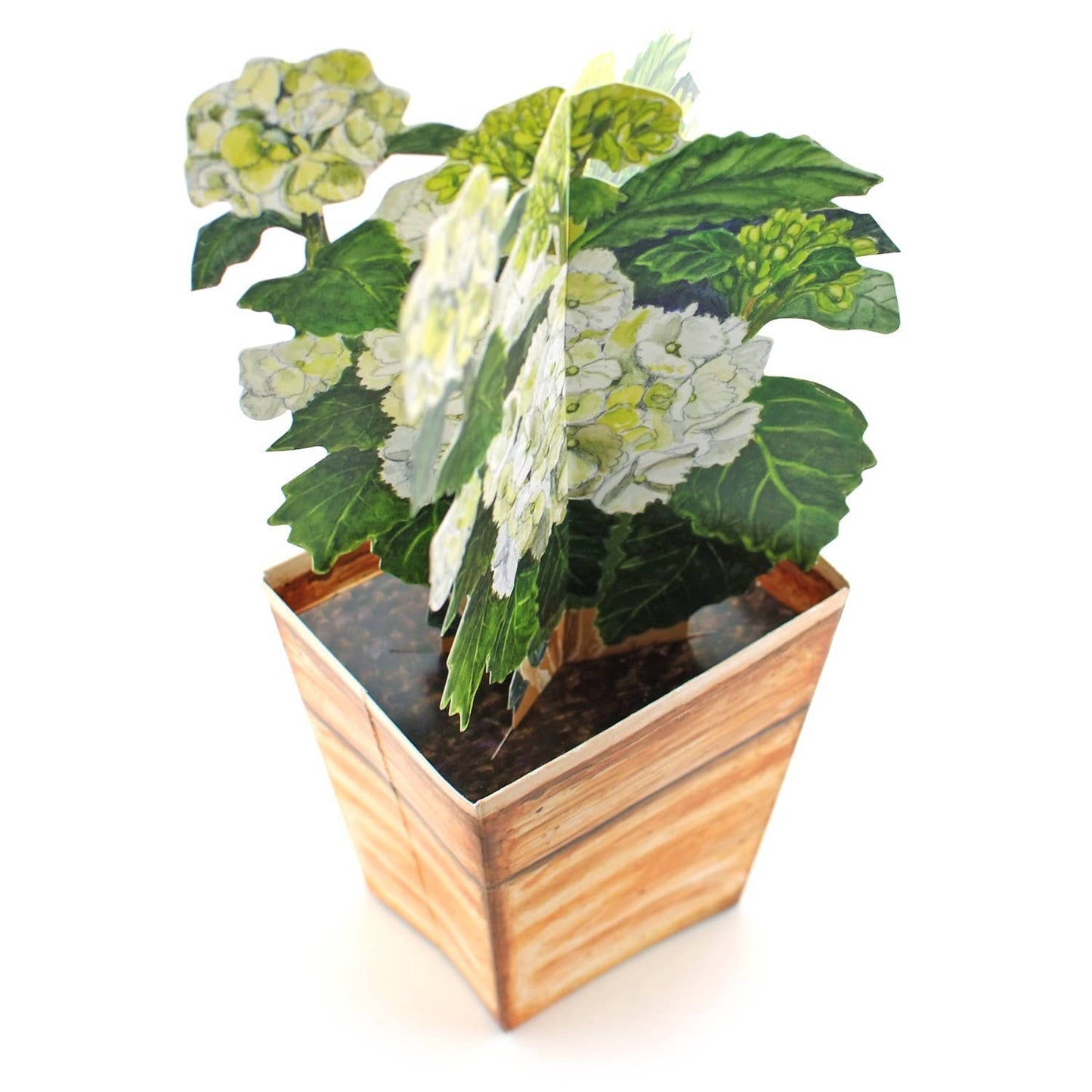 3D greeting card hydrangea