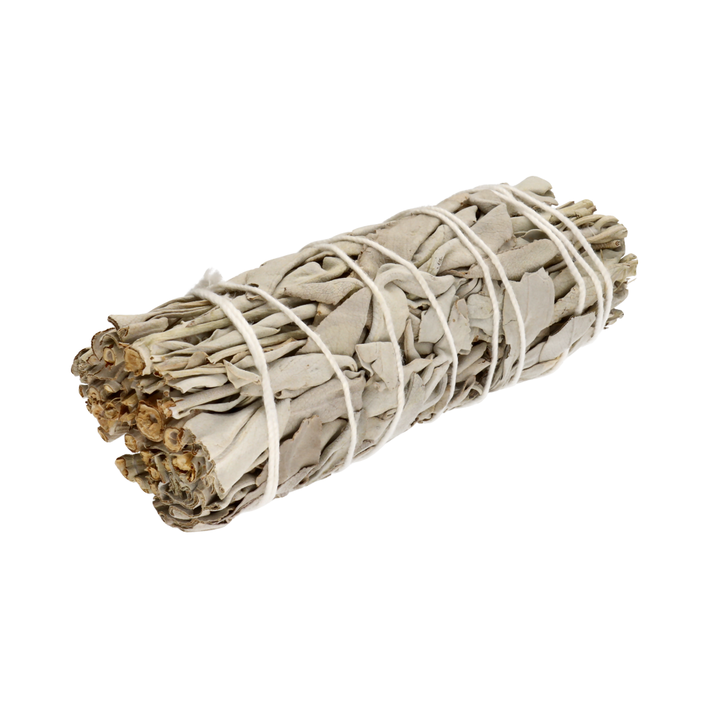 California White Sage (Salvia Apiana)