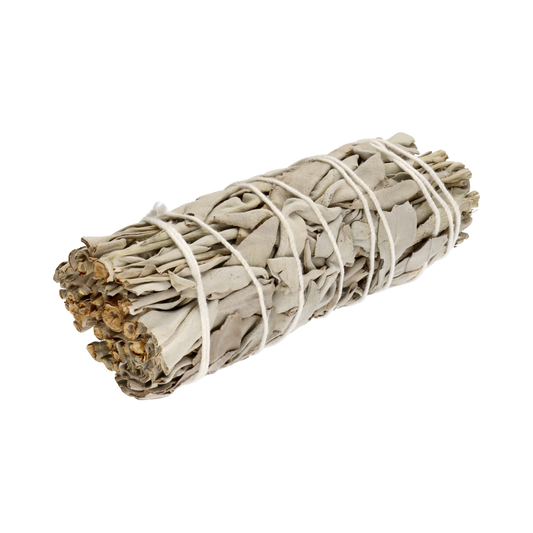 Kalifornischer Weißer Salbei (Salvia Apiana)