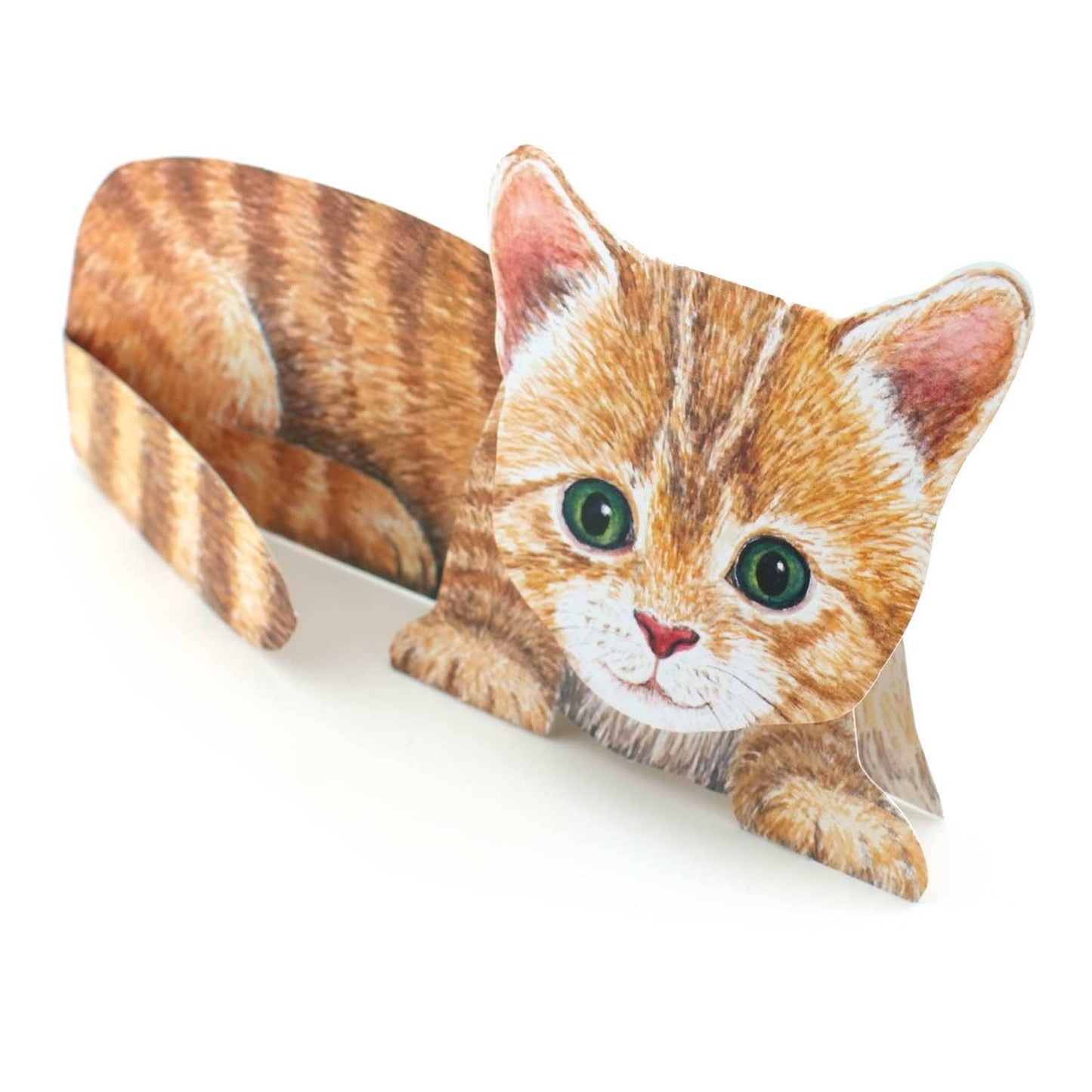 3D animal card little cat