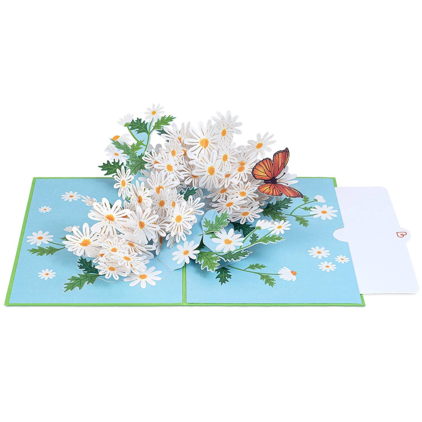 Gänseblümchen-Pop-up-Karte mit Schmetterling