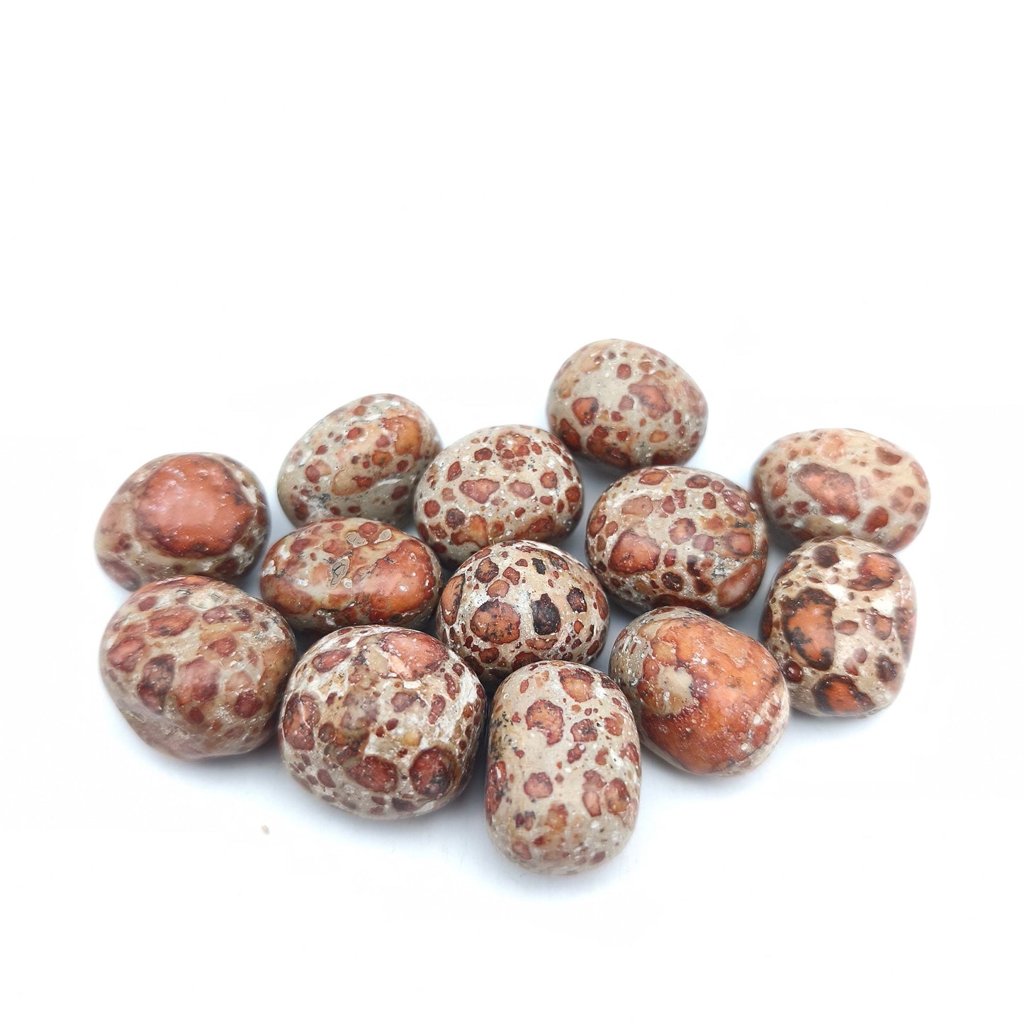 Tumbled Stones - Leopard Jasper (200 g)
