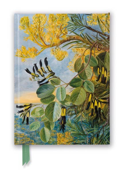 Kew Marianne North: Flowers Of The Flame-Tree Journal