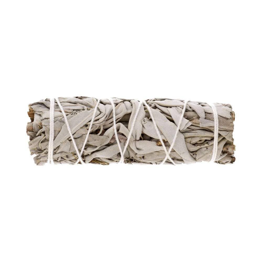 California White Sage (Salvia Apiana)