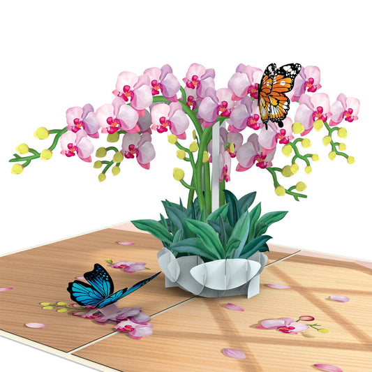 Orchid with Butterfly Pop-Up Card