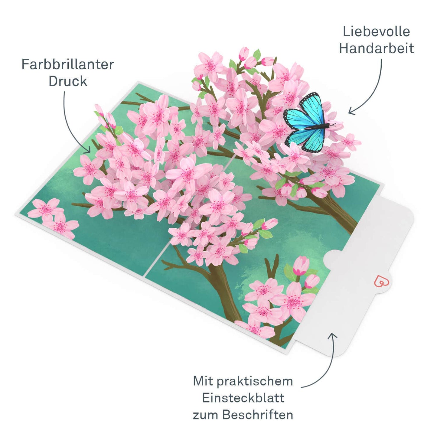 Cherry Blossom Branch Pop-Up Card