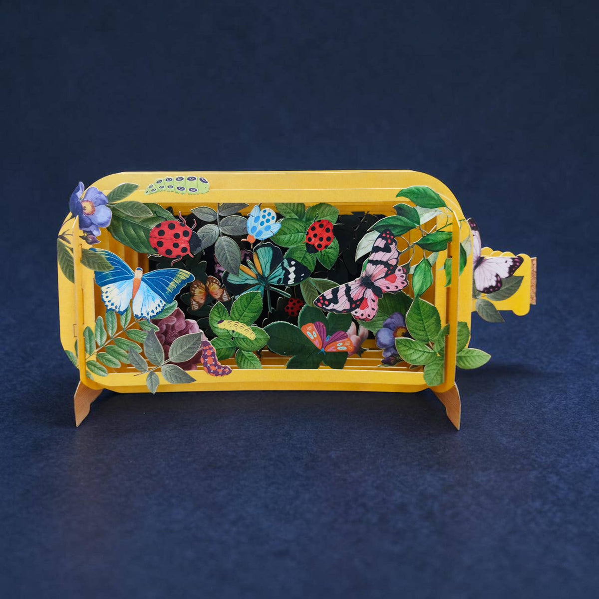 Butterfly Garden