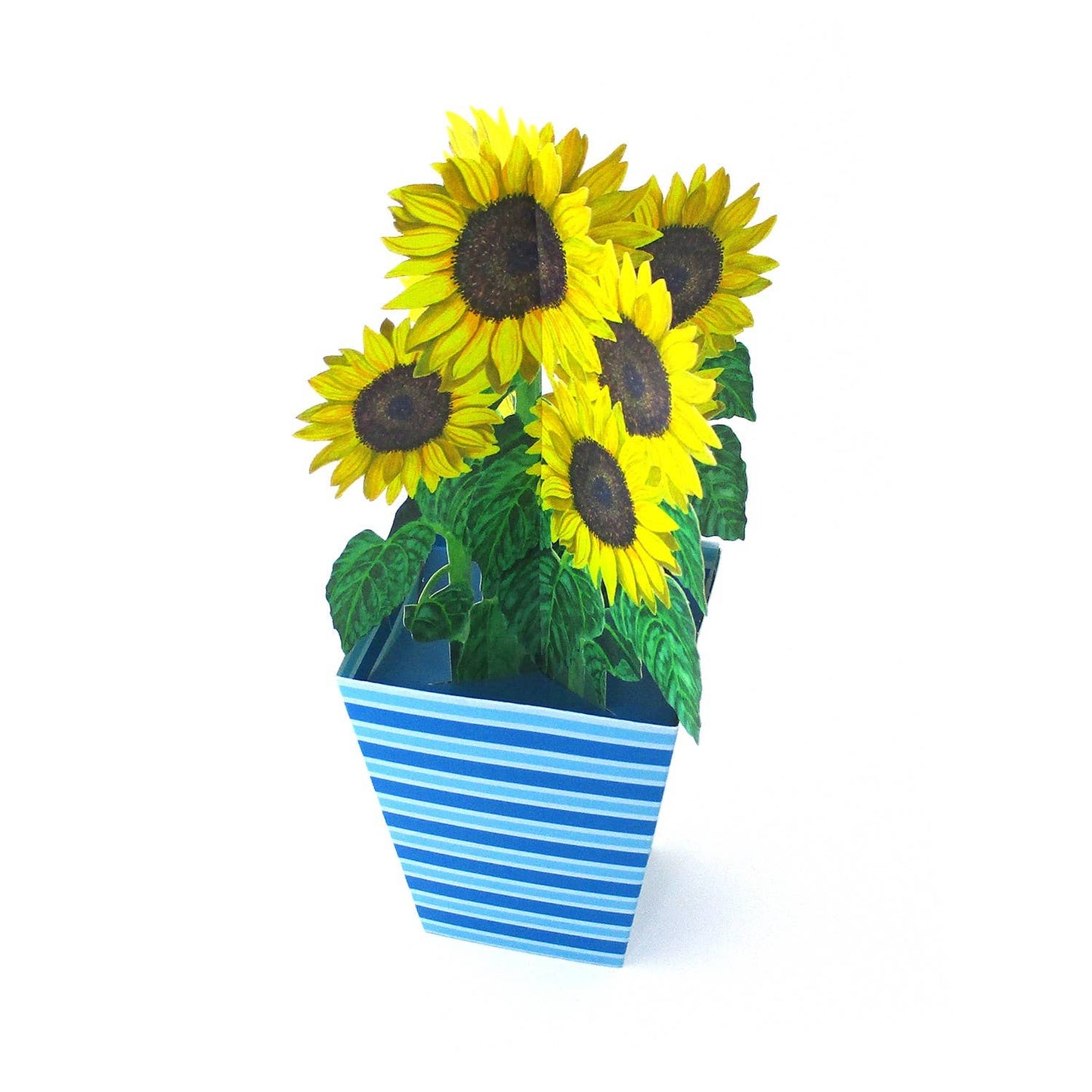3D greeting card sunflowers