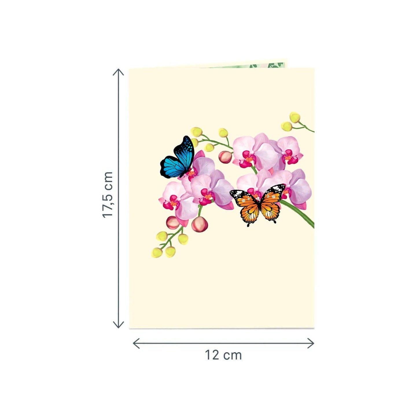 Orchid with Butterfly Pop-Up Card