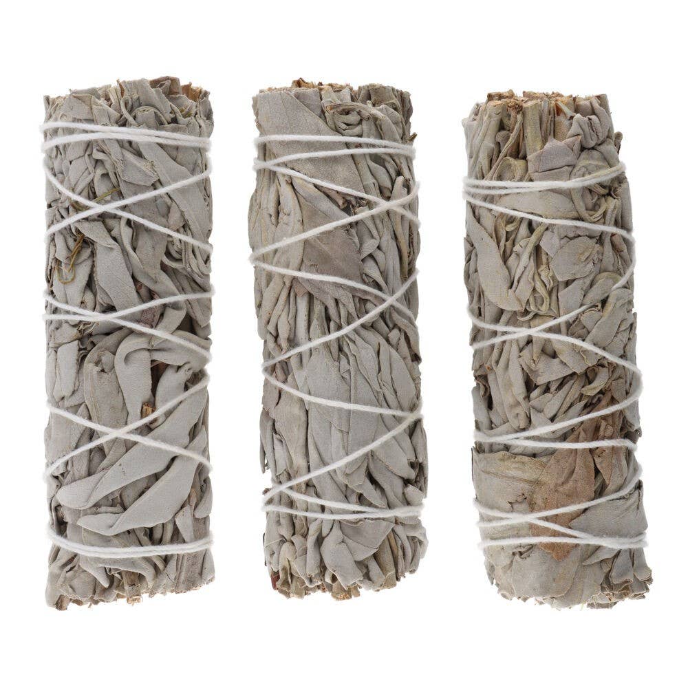 California White Sage (Salvia Apiana)