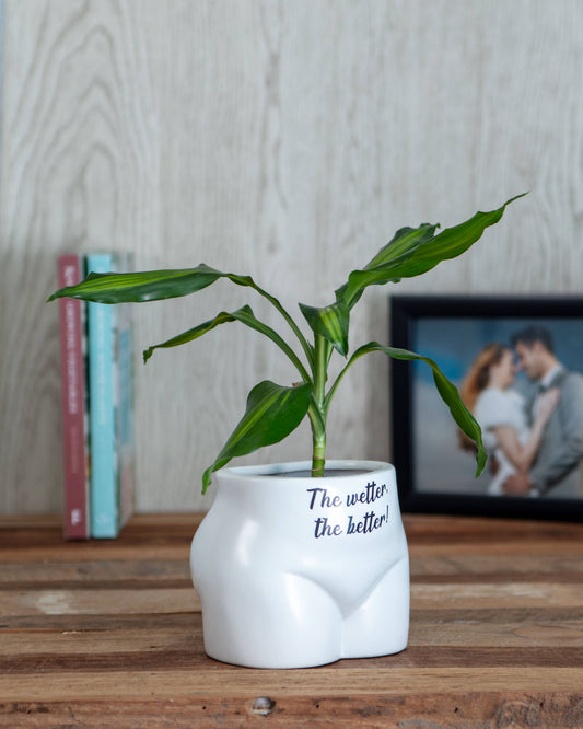 Put Some Plants on - the Wetter, the Better