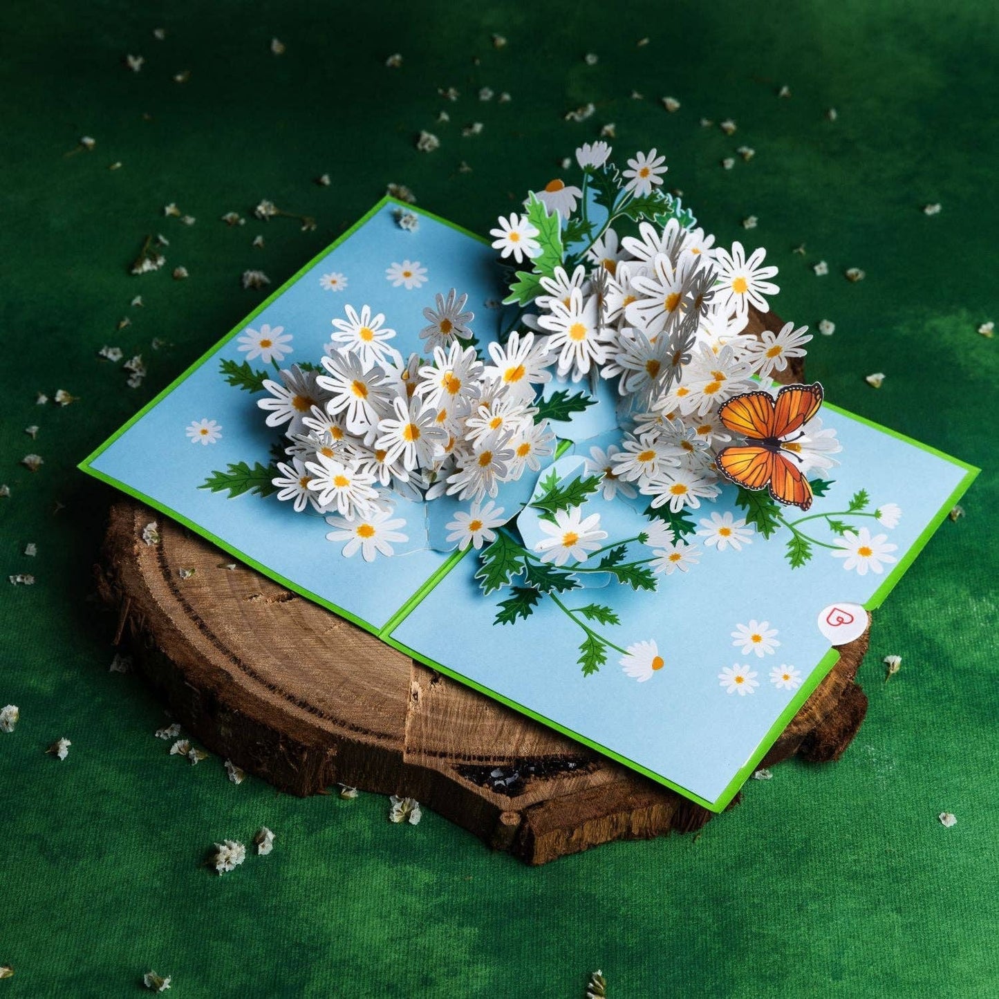 Gänseblümchen-Pop-up-Karte mit Schmetterling