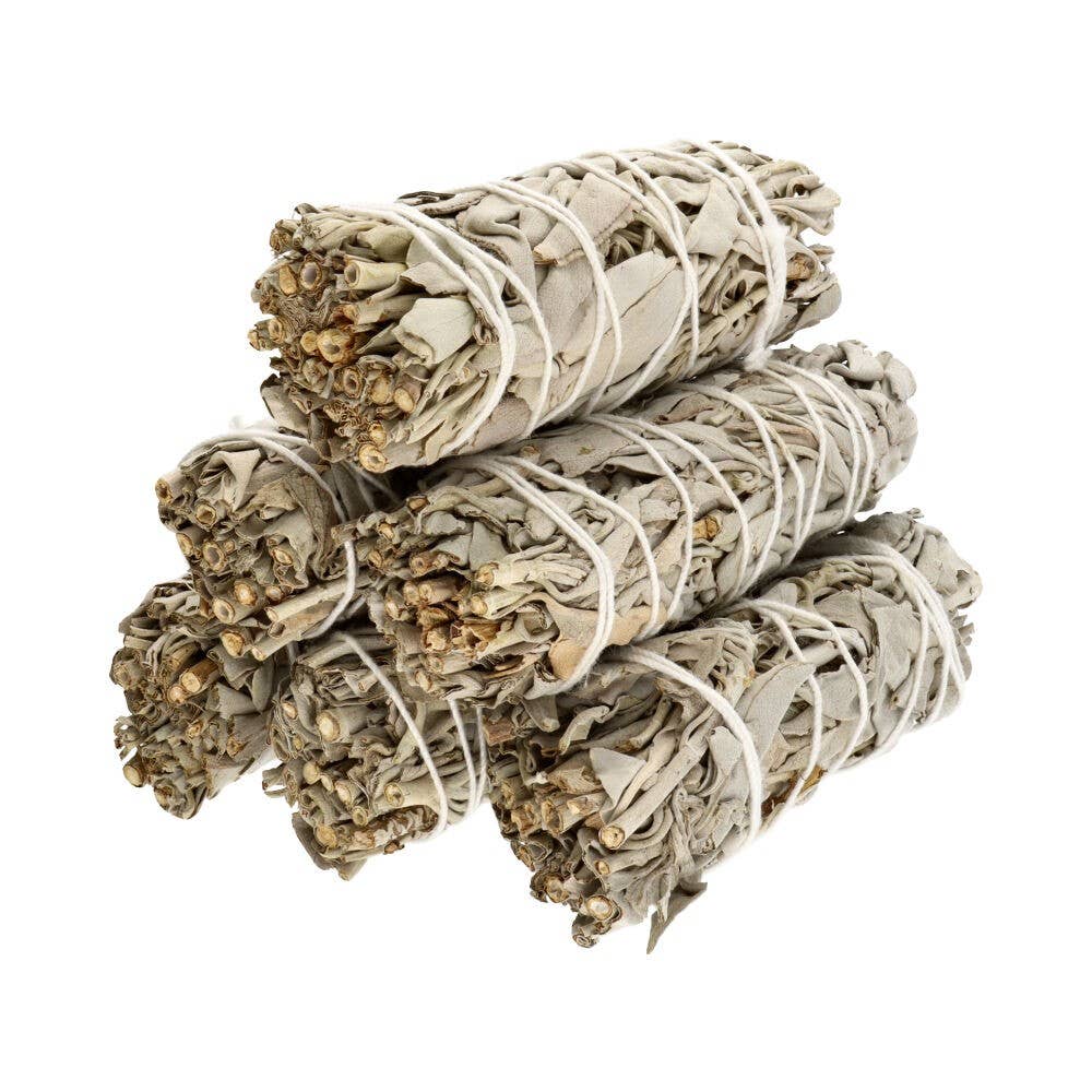 California White Sage (Salvia Apiana)